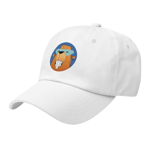 Bober Dad Hat