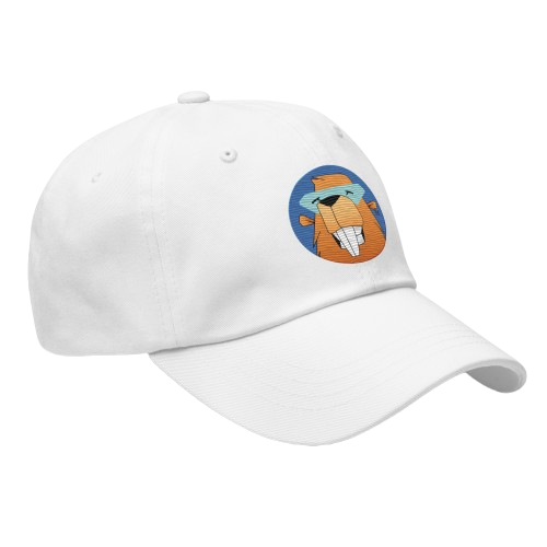 Bober Dad Hat