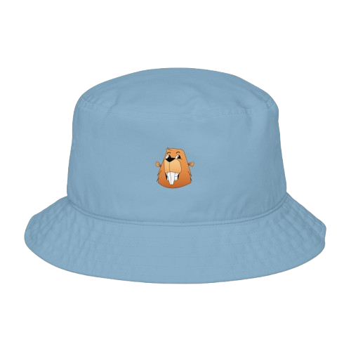 Smiling Bober Bucket Hat